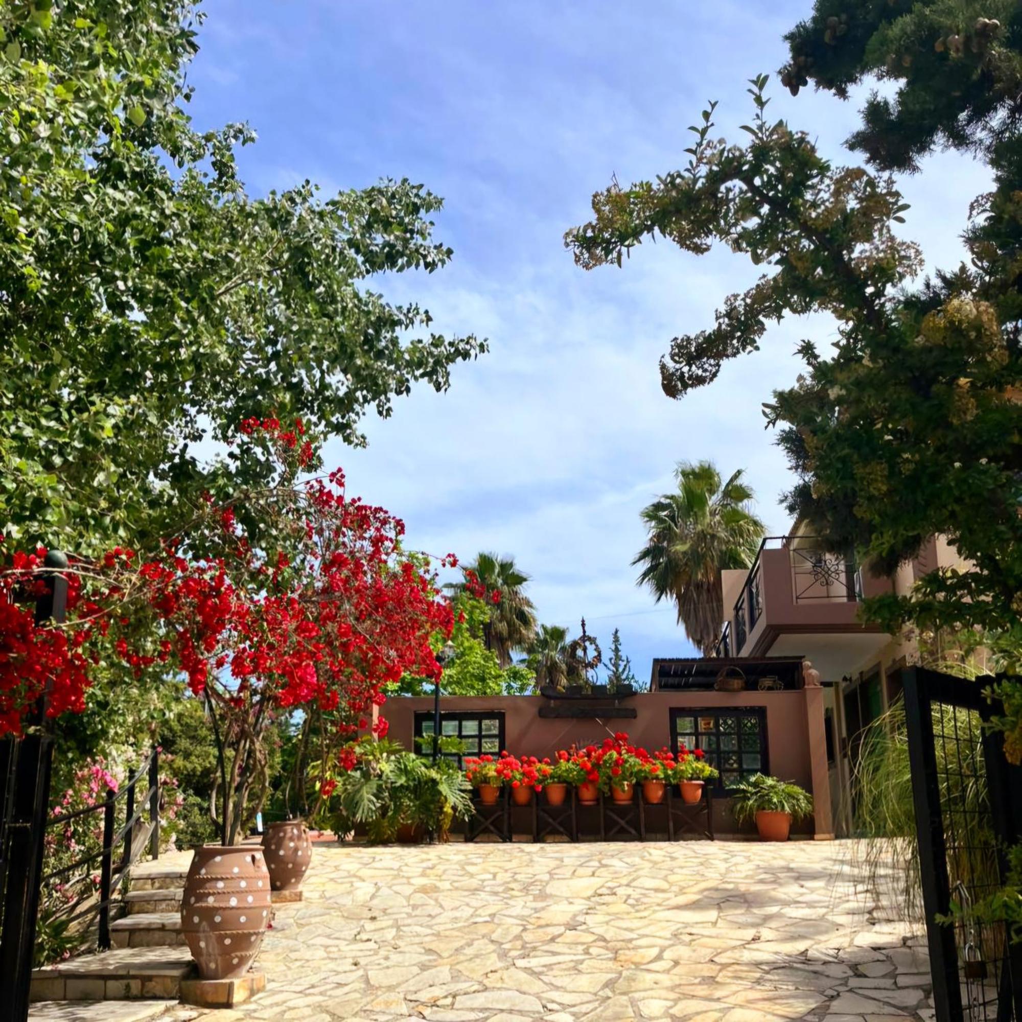 Okeanis Apartments & Suites Adults Only Katelios Buitenkant foto